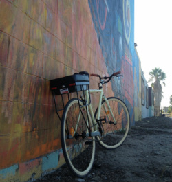 Companion Bike Seat in Hollywood