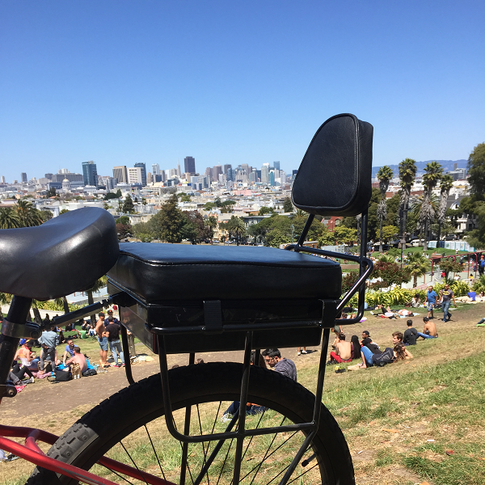 Companion Bike Seat and backrest overlooking San Francisco