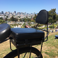 backrest for companion bike seat