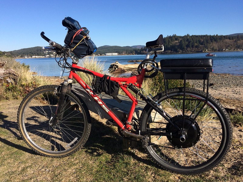 Companion Bike Seat installed on a bicycle with an ebike conversion kit overlooking a lake