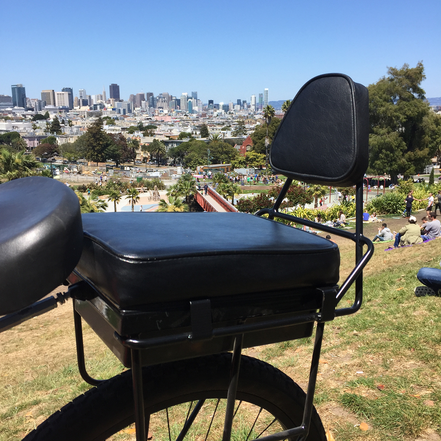 Companion Bike Seat and Backrest