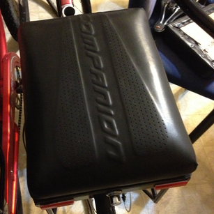 custom leather companion bike seat prototype
