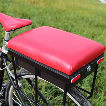 Custom Red Leather Companion Bike Seat