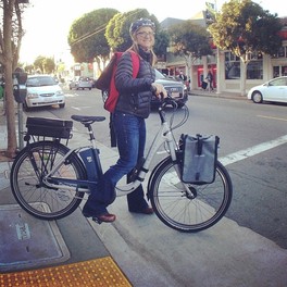 companion bike seat customer photo