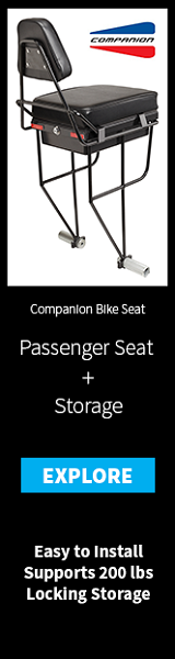 Companion Bike Seat ad