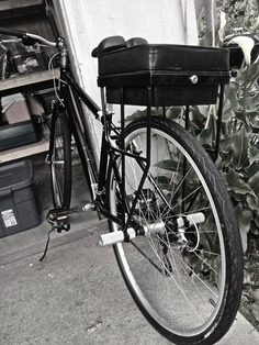 companion bike seat black and white