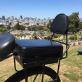 companion bike seat backrest